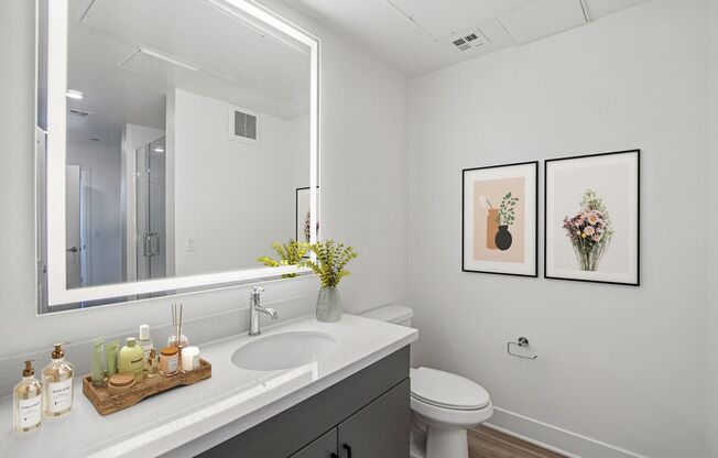 1 bed, 1 bath, 619 sqft, $1,699, Unit 462