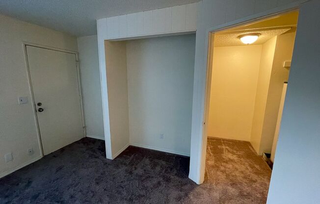 Studio, 1 bath, 300 sqft, $1,050, Unit 299-01