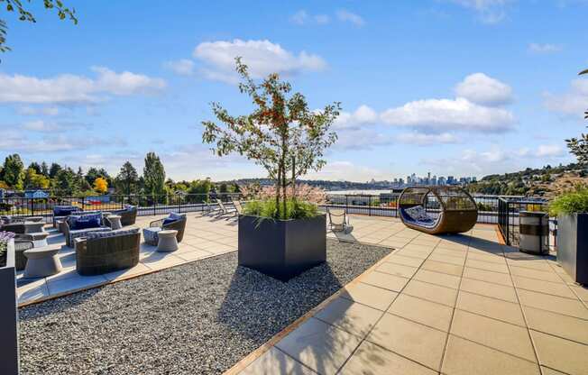 The Hayes on Stone Way Apartments rooftop terrace with potted trees at The Hayes on Stone Way, Seattle, Washington