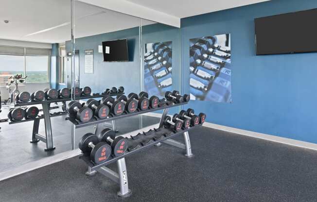 a row of dumbbells in a gym with a blue wall and a television