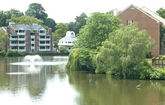 Lake View Condo - Move In Today