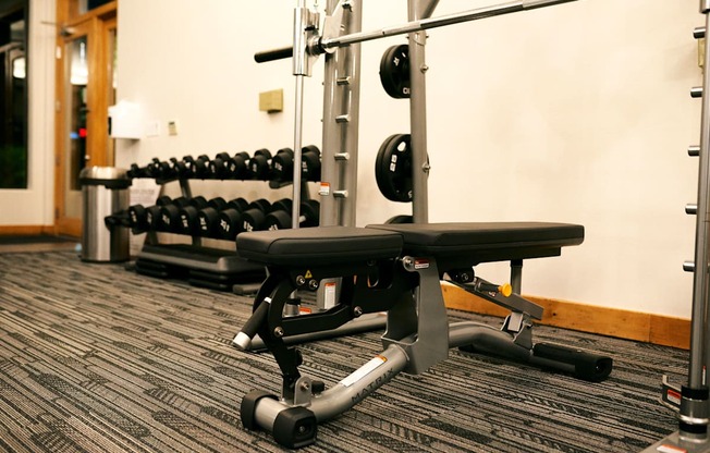 a row of weights machines in a gym