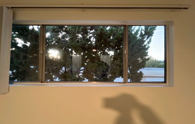 2 beds, 1 bath, 1,100 sqft, $2,475, Unit 241-39