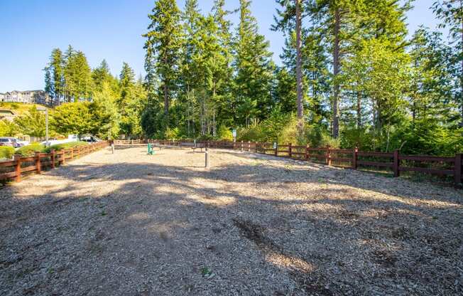 Dog Park at Discovery Heights, Issaquah, WA, 98029