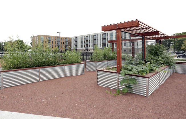 Community garden space