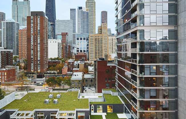 Townhome Green Roof Chicago Skyline View at Eight O Five, Chicago, 60610