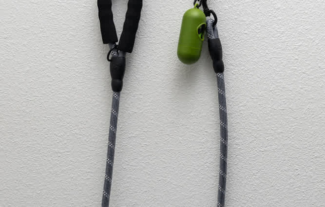 A green pendant hangs from a black cord on a wall.