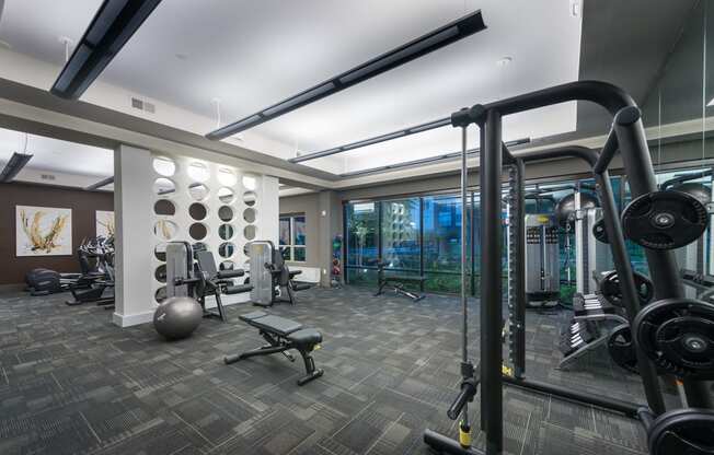 Two State-Of-The-Art Fitness Facility With Yoga And Strength Training at Everra Midtown Park, Dallas, TX