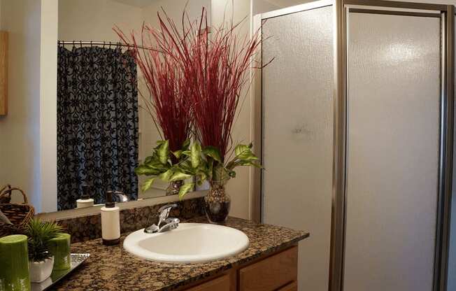 Stand up Shower at Stone Gate Apartments, North Carolina, 28390