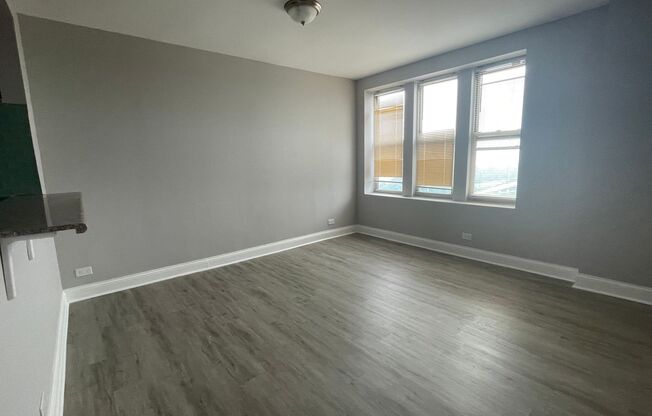 1 bed, 1 bath, 625 sqft, $1,350, Unit 1001