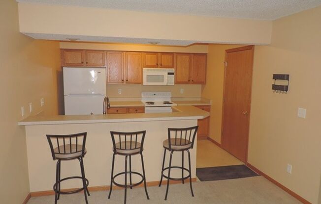 $1,450 | 2 Bedroom, 2 Bathroom Condo | Pet Friendly* | Available for August 1st, 2025 Move In!