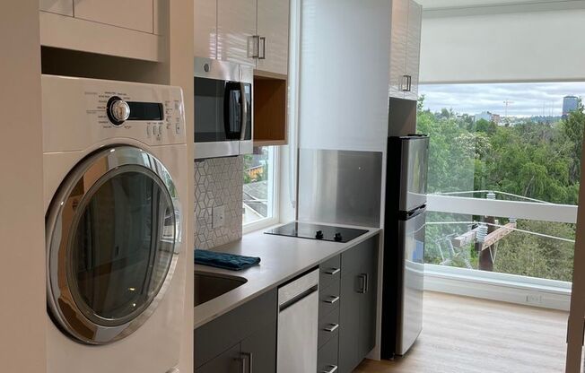 Studio, 1 bath, 230 sqft, $1,215, Unit 208