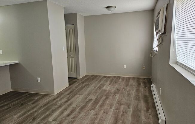 Studio, 1 bath, 480 sqft, $700, Unit 110