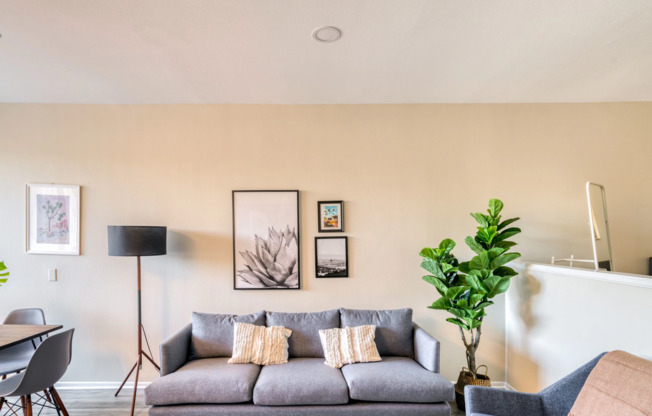 1 bed, 1 bath, 800 sqft, $2,298, Unit 206