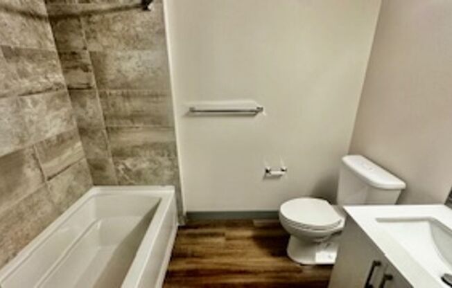 Studio, 1 bath, 421 sqft, $1,595, Unit 313