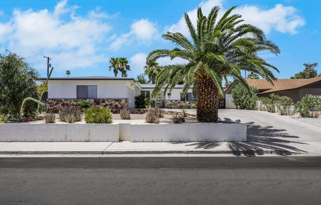 Stunning Mid Century Modern