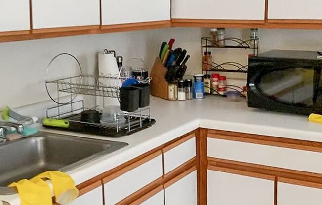 Studio, 1 bath, 520 sqft, $1,695, Unit 630.5-11