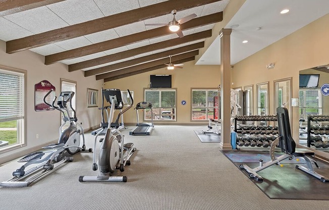 the gym in the owners home has treadmills and other exercise equipment