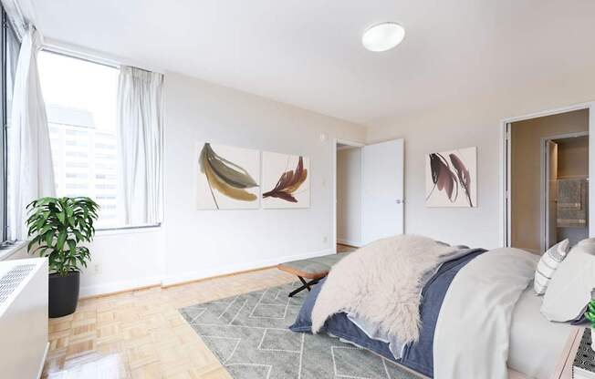 A bedroom with a bed, a plant, and pictures on the wall.