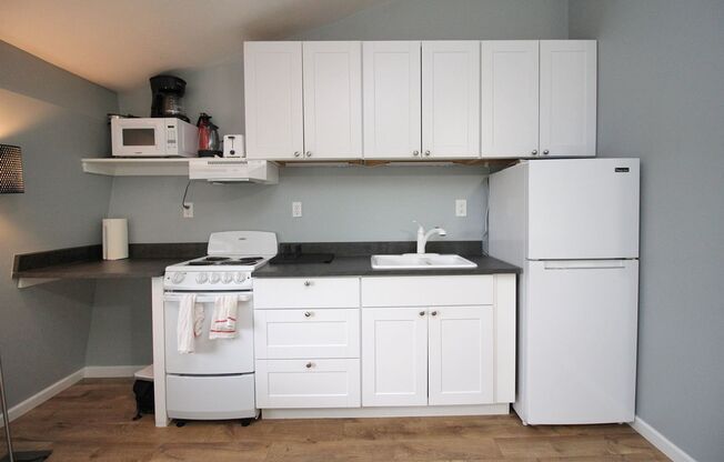 Studio, 1 bath, 325 sqft, $1,345, Unit Studio