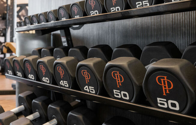 a rack of dumbbells in the gym at Madison Prickett Preserve, Yardley, PA
