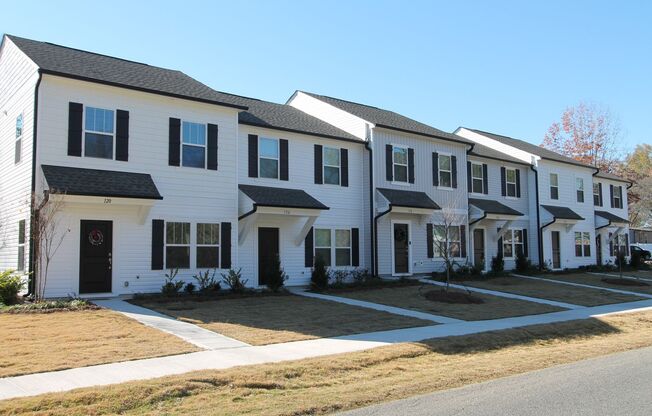 3 Bedroom/2.5 Bath Townhome Minutes from Downtown Oakboro - Available end of November