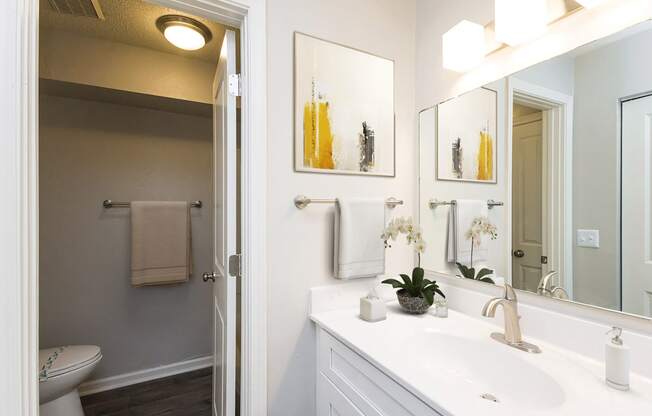 a bathroom with a sink and a mirror and a toilet