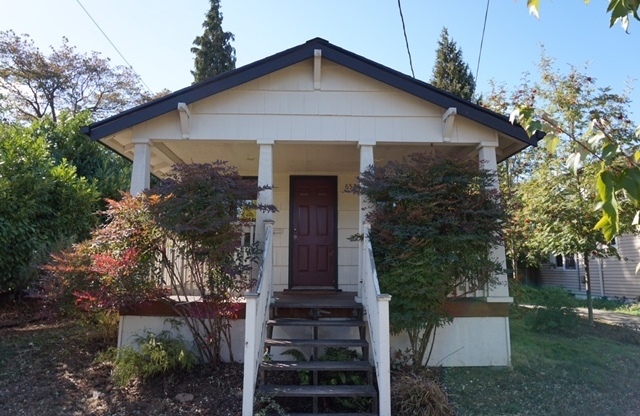 Super Charmer - Small house, big heart!