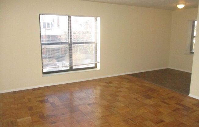 1 bed, 1 bath, 600 sqft, $995, Unit 202