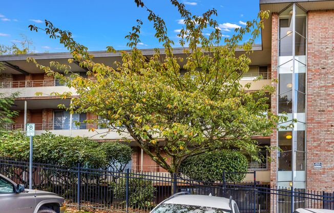 Walkable One-Bedroom Apartments Near the University of Washington