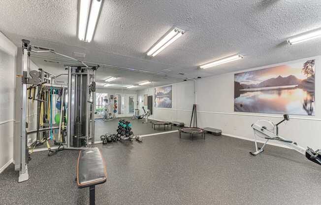 A gym with a variety of equipment including a treadmill, weights, and a bench press.