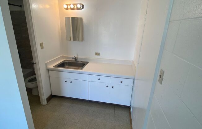 ALAPAI LOFTS LLC