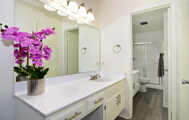 2 beds, 2 baths, 1,066 sqft, $2,850, Unit Unit 109