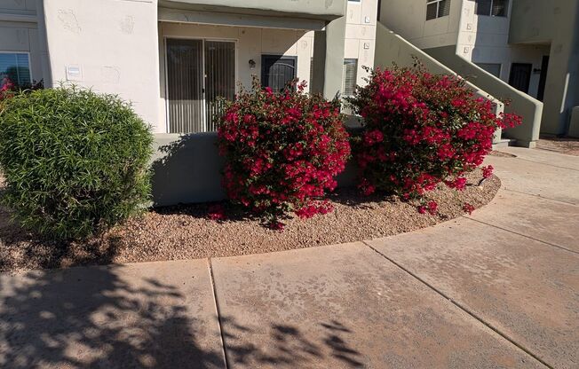 1 Bedroom Condo in the Boardwalk at Andersen Springs Community Near W Ray Rd and N Dobson Rd!