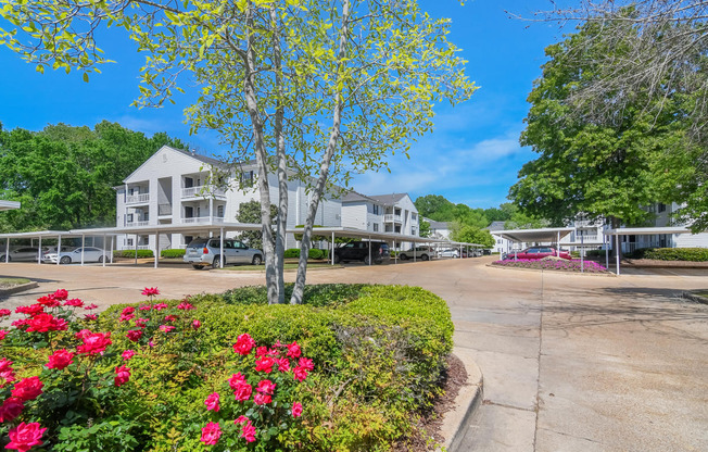 a view of a street with houses and trees and flowers at Reserve of Jackson Apartment Homes, Jackson