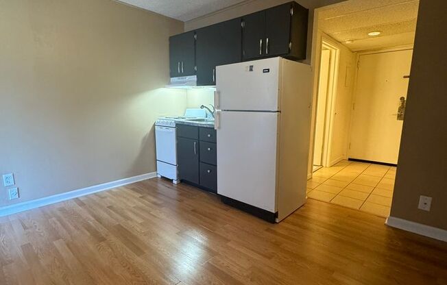 1 bed, 1 bath, $1,125