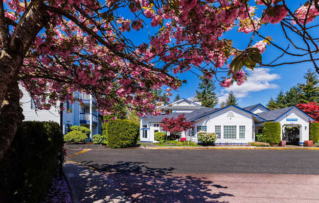A house with a blue roof and white walls is surrounded by green bushes and trees with pink flowers.