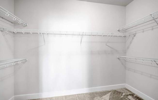 Empty white closet with shelves and a carpet.