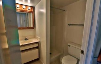 Studio, 1 bath, $1,050