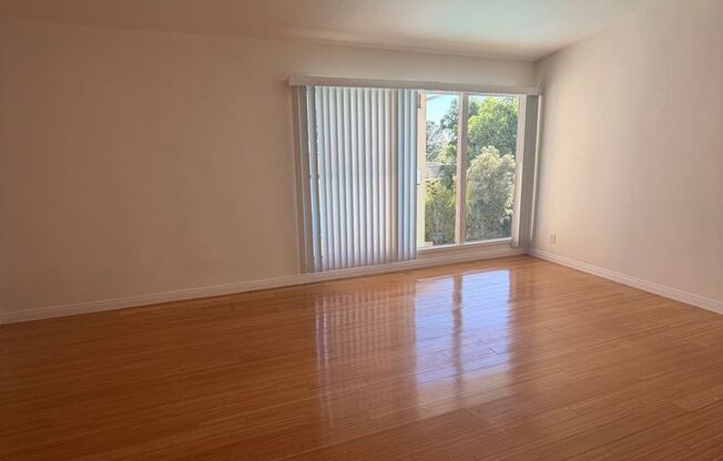 Studio, 1 bath, 450 sqft, $1,795, Unit 11