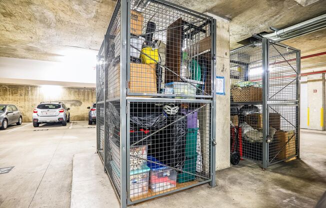 1 bed, 1 bath, $2,500