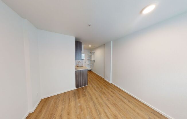 Studio, 1 bath, 186 sqft, $1,445, Unit 313
