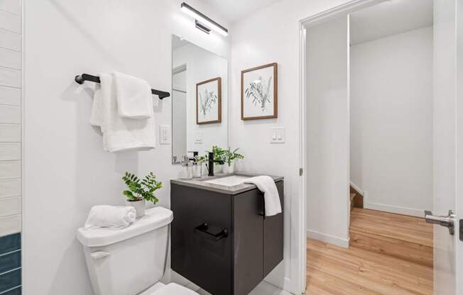 A bathroom with a white toilet and a black cabinet.