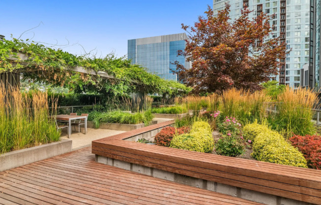 1 bed, 1 bath, $2,495, Unit UNIT 1300