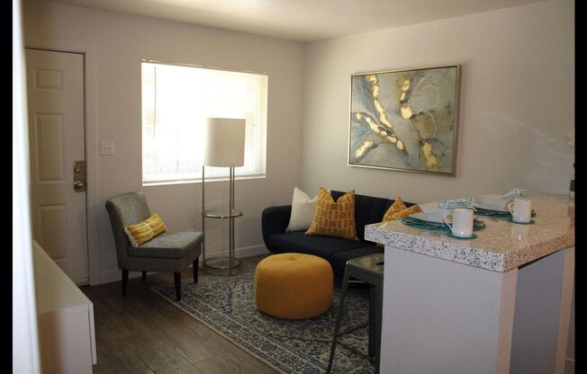 Studio, 1 bath, 300 sqft, $699, Unit 336