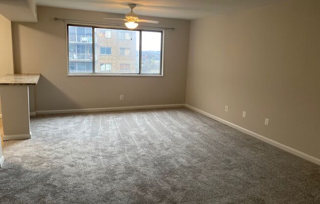 Beautiful New Apartment with ALL Utilities Included!