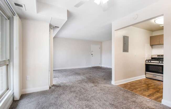A spacious living room with a grey carpet and a kitchen area with a stove and oven.