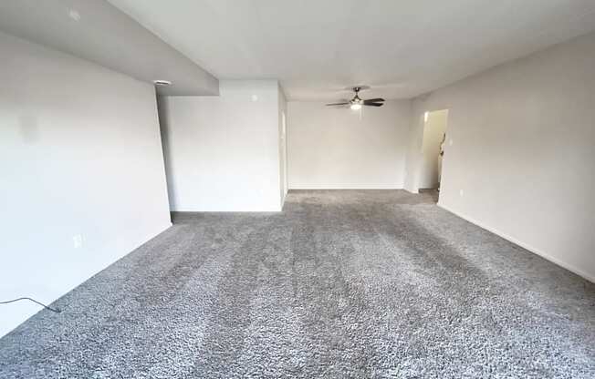 A room with a grey carpet and a ceiling fan.