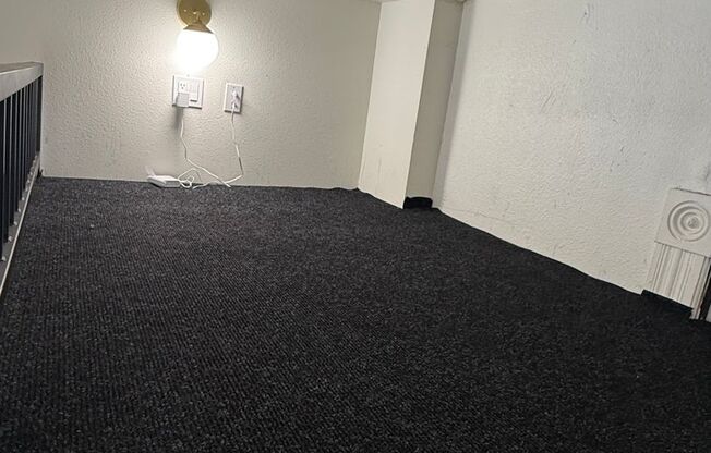 Studio, 1 bath, 166 sqft, $1,400, Unit 318