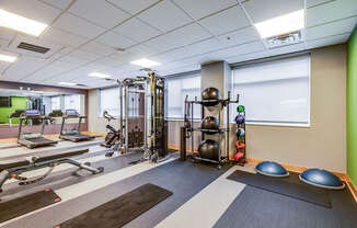 A gym with a variety of equipment including a treadmill, weights, and exercise balls.